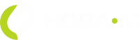 HOLLOWLITE